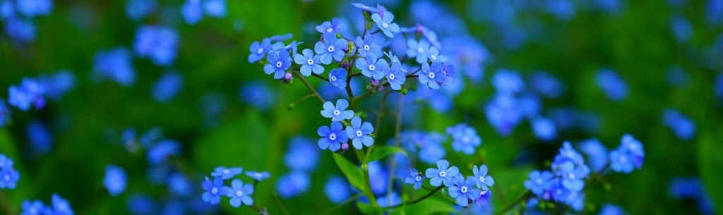 MORE 365: Postcard&nbsp;S112